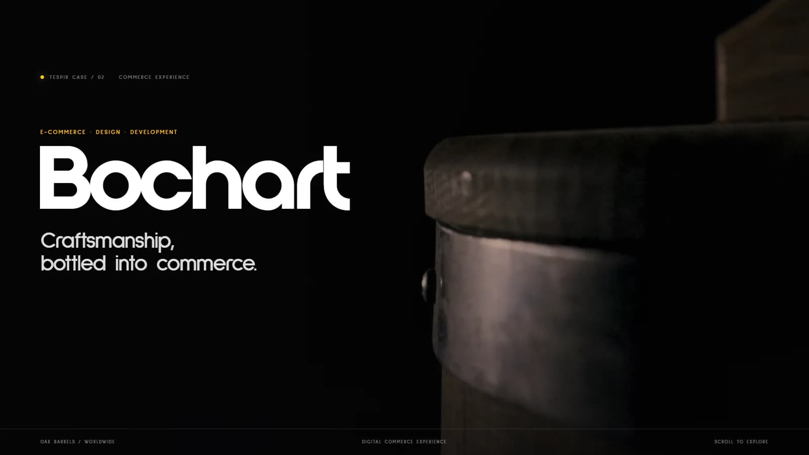 Bochart project preview